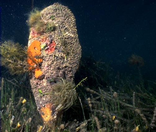 image métier à tapissier