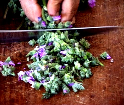 image metier à tisser